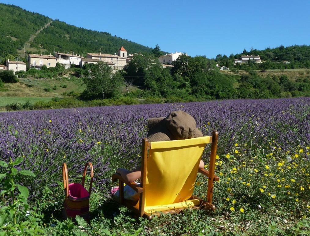 Le Jas De Verdolier Sault-de-Vaucluse Exterior foto